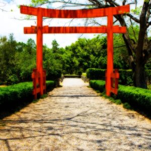 Chinese Garden at Hope Gardens